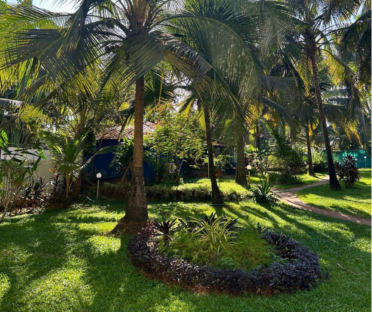 Jungle Hut-Annabelle'S Beach Apartments At Bernard Simao,Calangute,Goa Кандолим Екстериор снимка